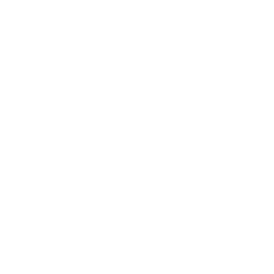 Работа выполняется на высшем уровне качества